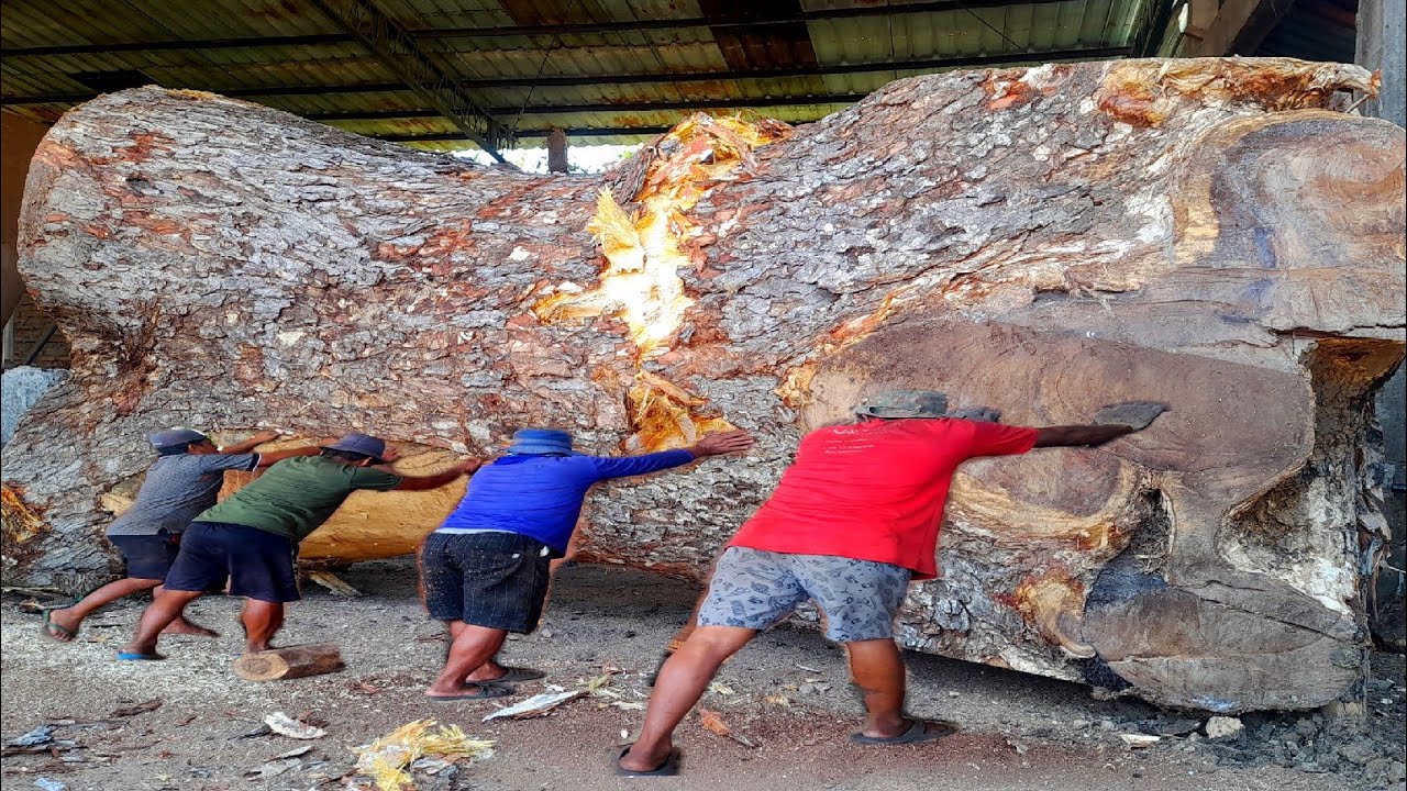 THE LARGEST TREMBESI WOOD CRAFT IN THE WORLD TODAY - YouTube