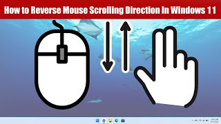 how to reverse mouse scrolling direction in windows 11