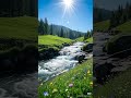 video relaxing #viral #shorts #viralshorts