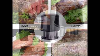 Meat Tenderizer Needle with Cleaning Brush