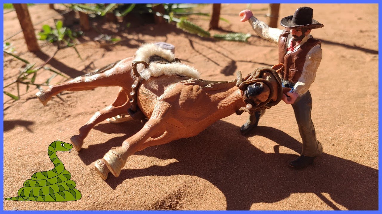 A COBRA ATACOU A ÉGUA DA FAZENDINHA #chapeudogato