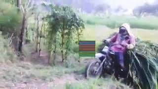 Maju kena mundur kena