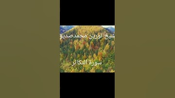الأجمل تلاوة خاشعة بصوت الشيخ نورين محمد صديق السوداني سورة التكاثر