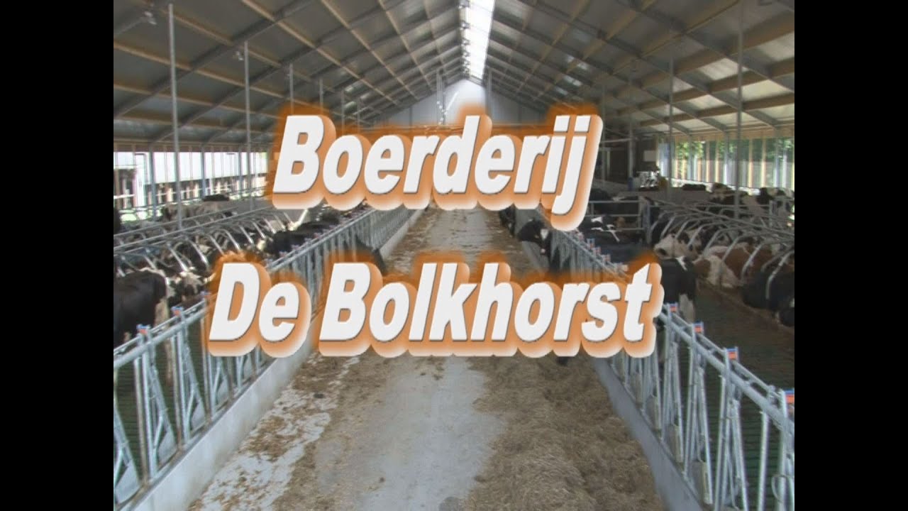 Nieuwe stal Bolkhorst Teuge met drie melkrobots