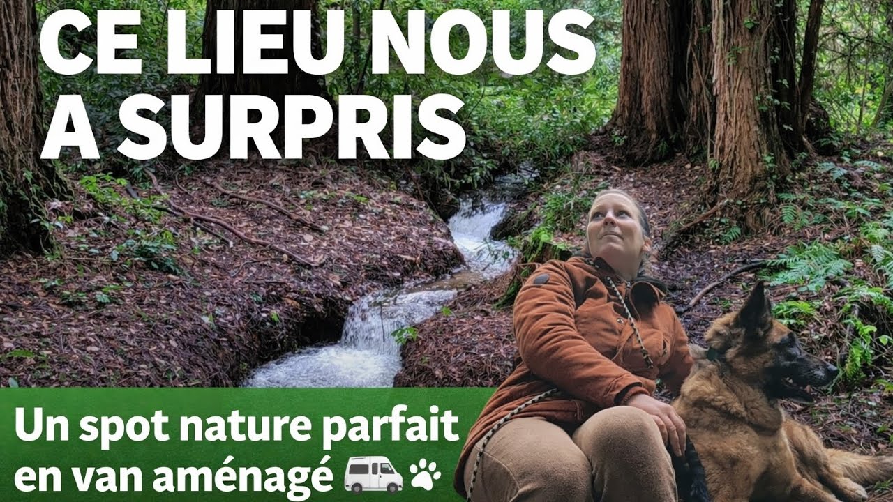 Roadtrip en van en Haute-Vienne #vienomade 