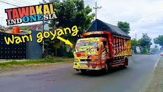 Truk TAWAKAL INDONESIA oleng syantik pilot sam deka|| #cctv prolink joss ||