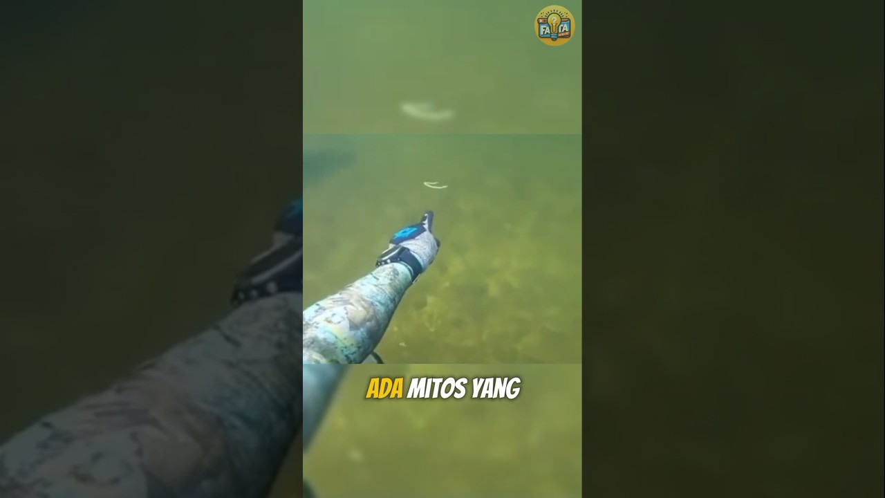 Ikan Kecil Ini Bisa Masuk Tubuh Manusia?! 