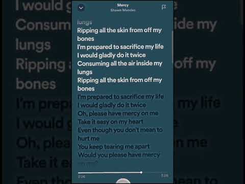 SpeedUP Shawn Mendes Mercy 