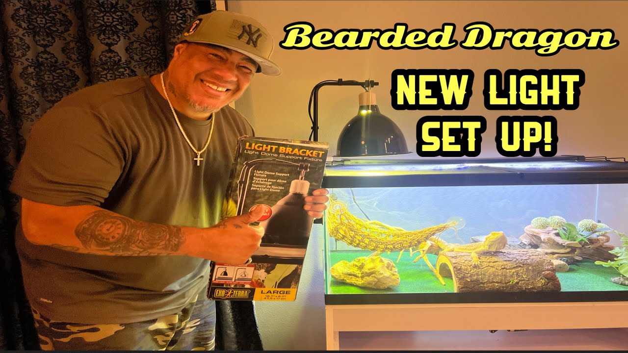 Breakdown Of The Exo Terra Light Bracket: A Must Have For Reptile Owners