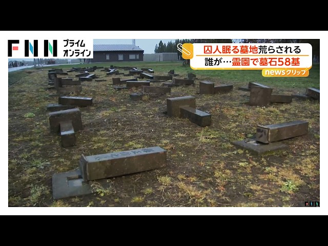 廃盤希少　光りの墓('15タイ/英/仏/独/マレーシア) 囚人墓石”なぎ倒される異様な光景…北海道・月形町の霊園で58基倒される