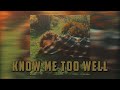 Know Me Too Well - New Hope Club, Danna Paola (Lyrics &amp; Vietsub)