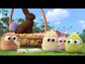 Buona Pasqua dai pulcini di Angry Birds - Il Film