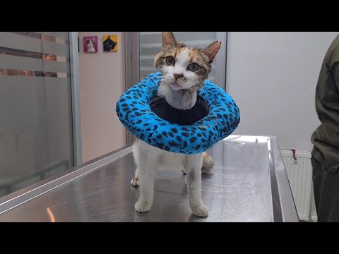 Sweet is continuing her recovery.😍