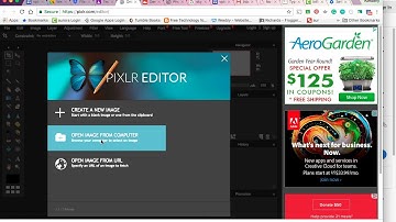 Pixlr Photo Editor Changing the Brightness & Contrast & Hue & Saturation