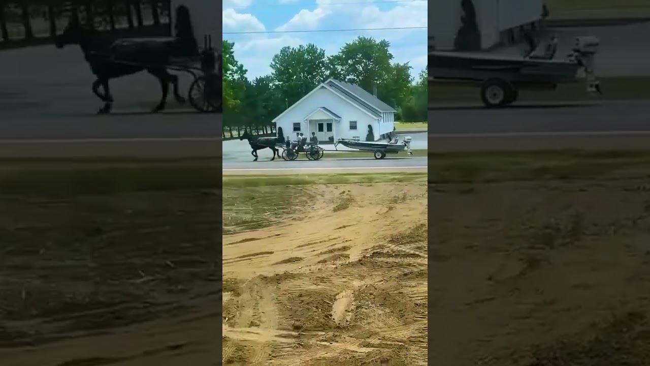 You Don't See This Everyday! 