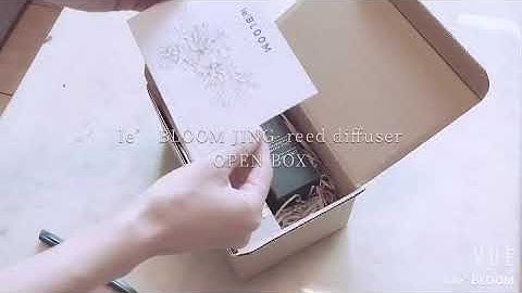 le’ Bloom reed diffuser open box