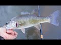 Shoal Bass Spawning Adventure | Bushwhacking &amp; Fishing a Hidden Georgia Shoal (Part 1) #blackbass