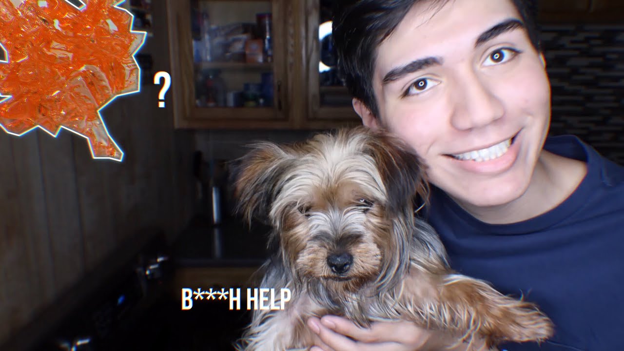 I tried making sugar coral!!