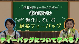 実は！進化している緑茶ティーバッグ｜お茶の学校｜伊藤園ティーテイスター｜家庭科