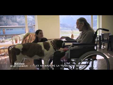 Vidéo: SAINTS Hospice pour Chiens