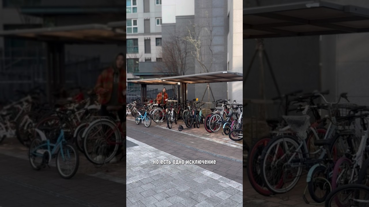 Берегись велосипеда 