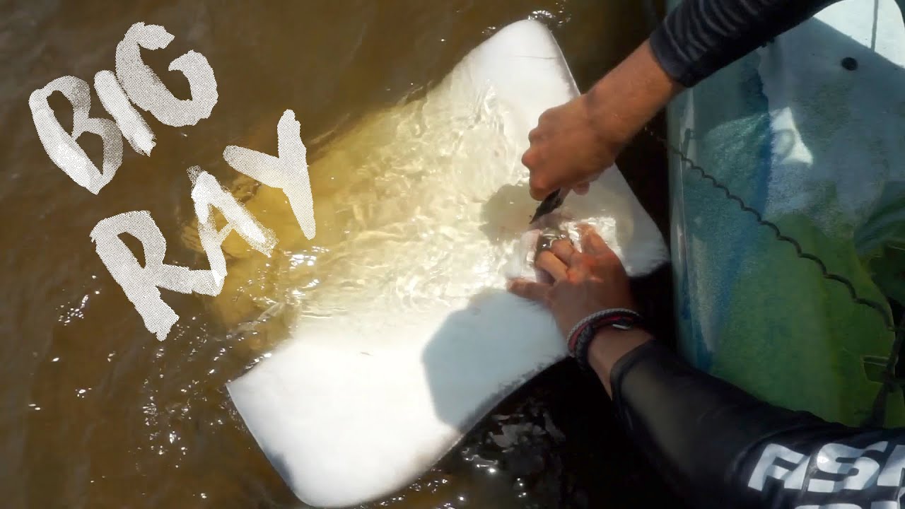 Kayak Fishing Wilmington, North Carolina! YouTube