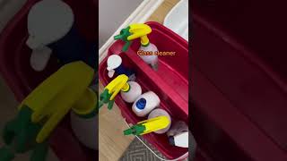 House Cleaning Caddy Must Haves