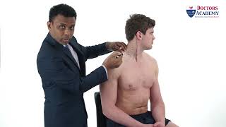 Overview of Upper Limb and Brachial Plexus | Professor Stuart Enoch