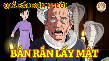 30 Năm Bắt Rắn Hổ Mang – Quả Báo Rợn Người Giữa Tổ Rắn Khiến Cả Làng Rùng Mình!