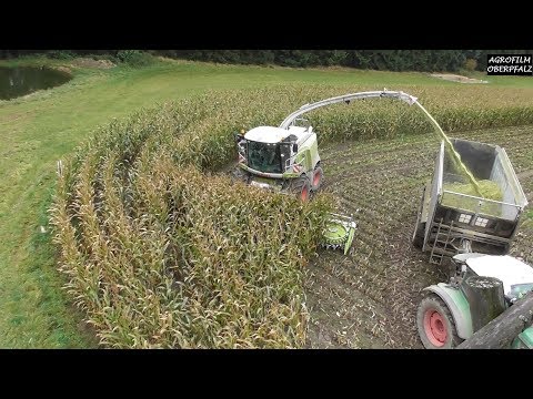 Thumbnail for Maishäckseln am Limit | Matsch, Regen, Wind, Wildschweine | Claas Jaguar 970 - LU Zintl