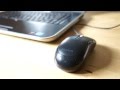 Microsoft Basic Optical Mouse Review