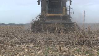 Moresil harvesting down corn