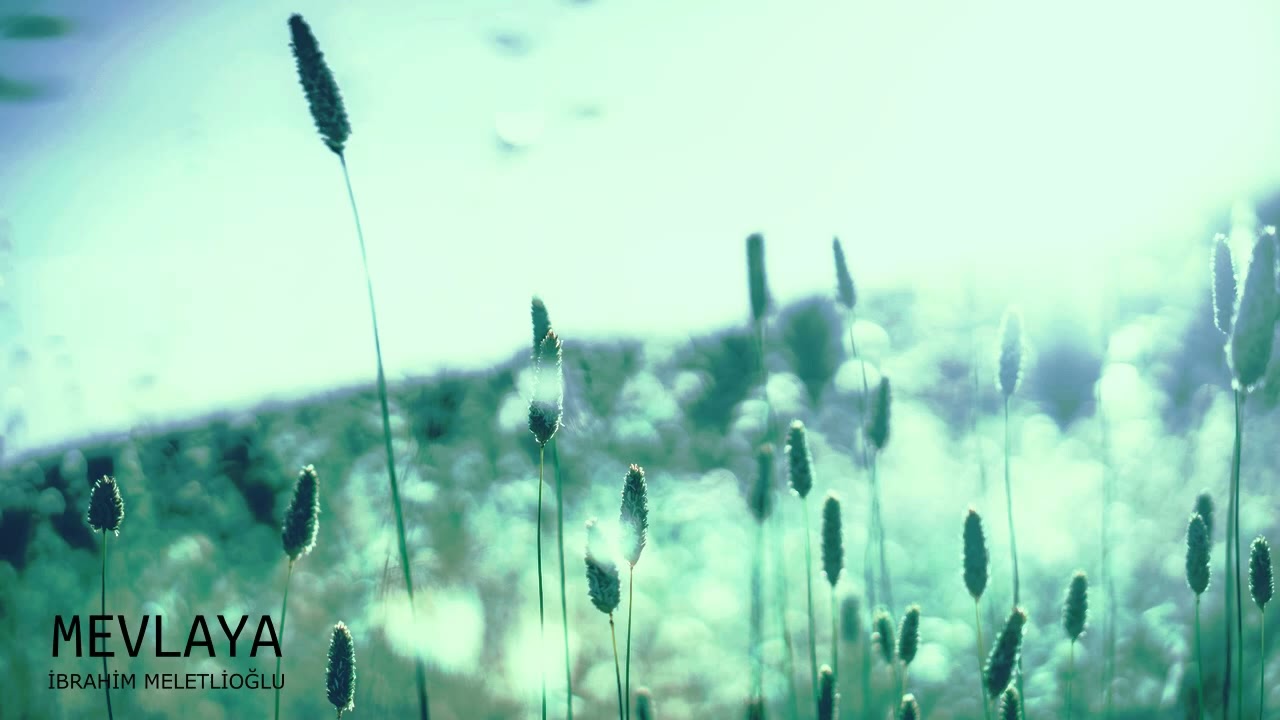 MEVLAYA MEVLAYA- Uşşak İlahi