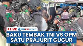 🔴LIVE: Baku Tembak TNI vs OPM di Area PT Freeport Mimika, Satu Prajurit Gugur & 3 Orang Terluka