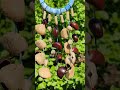 The Indigo Ring Blessing ☁️ Natural Seed Pod ASMR SYL95452#shots