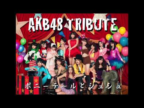 AKB48 TRIBUTE／ポニーテールとシュシュ