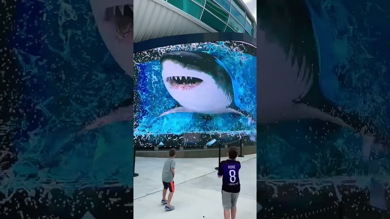 SHARKS ATTACK Incredible 3D Billboard In Nassau