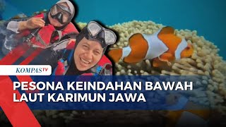 Peek into the Stunning Underwater Beauty of Karimunjawa | AFTERNOON GREETINGS