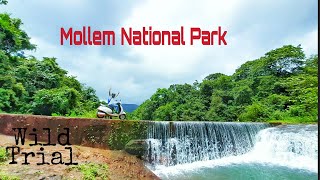 Mollem National Park | Mollem Waterfall | Collem Waterfall | Mini Dam