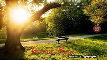 Nhạc intro của lucy