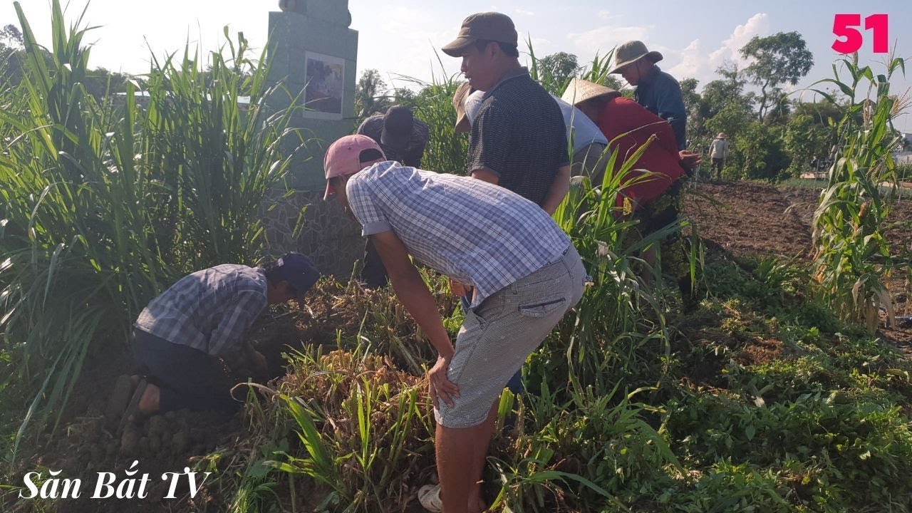 Đào Hang Bắt Rắn Tập 51: Nhận Cuộc Gọi Khẩn Cấp Từ Fan| Săn Bắt TV