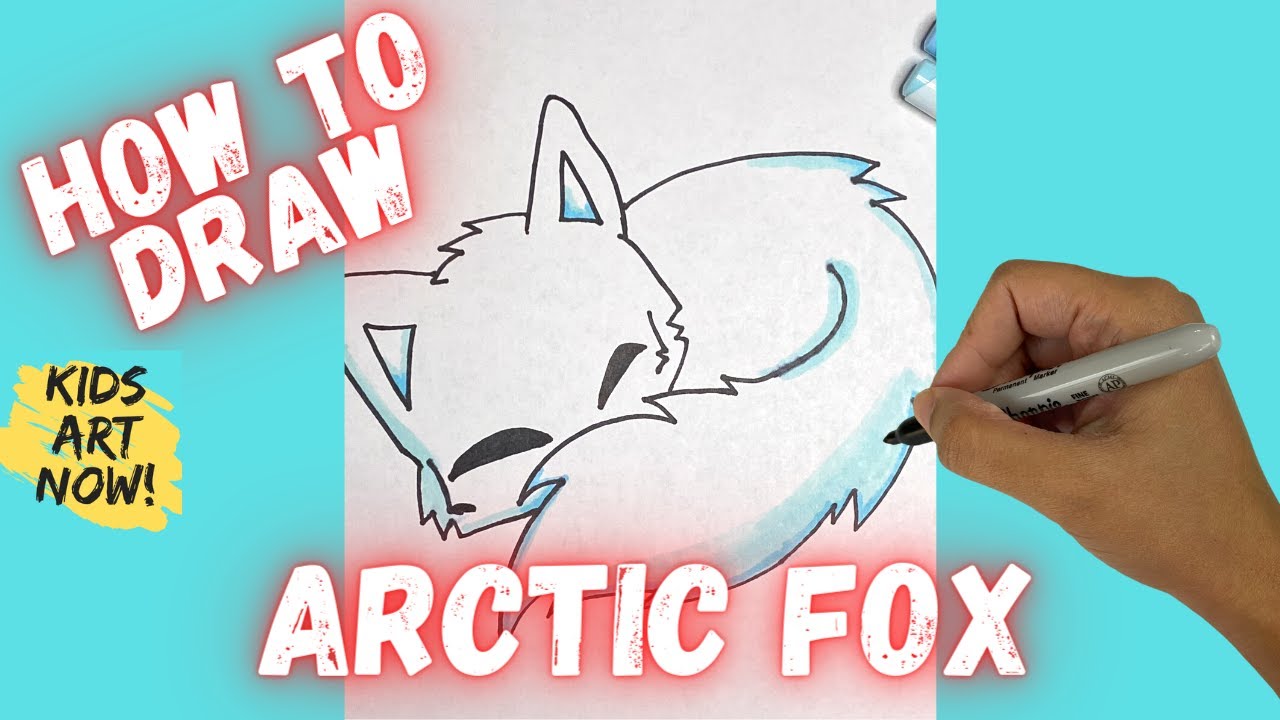 How to Draw a Sleeping Arctic Fox! - YouTube