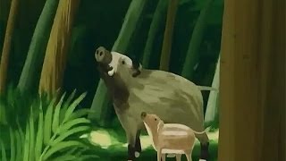 大好き