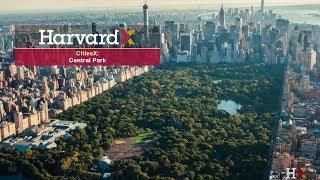 The Built City - Urban Parks