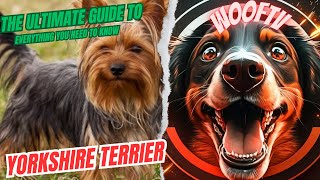 The Ultimate Guide to Yorkshire Terrier: Everything You Need to Know