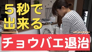 簡単！チョウバエ退治　5秒でチョウバエを駆除できるチョウバエバスターの使い方を詳しくご紹介