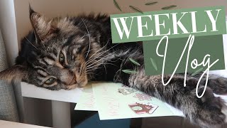 Stay at Home Projects | WEEKLY VLOG