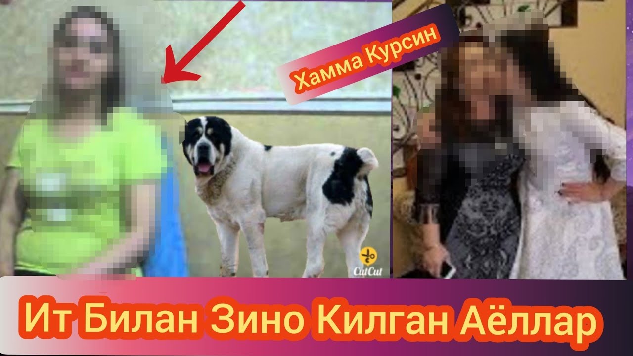 Хайвонлар билан кизлар сикиши Хайвонлар билан кизлар сикиши