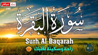 سورة البقره ☀️ قران كريم بصوت جميل💚لحفظ وتحصين المنزل | Surat Al-Baqarah Quran karem screenshot 5