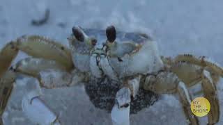 Module 3 SlideShow